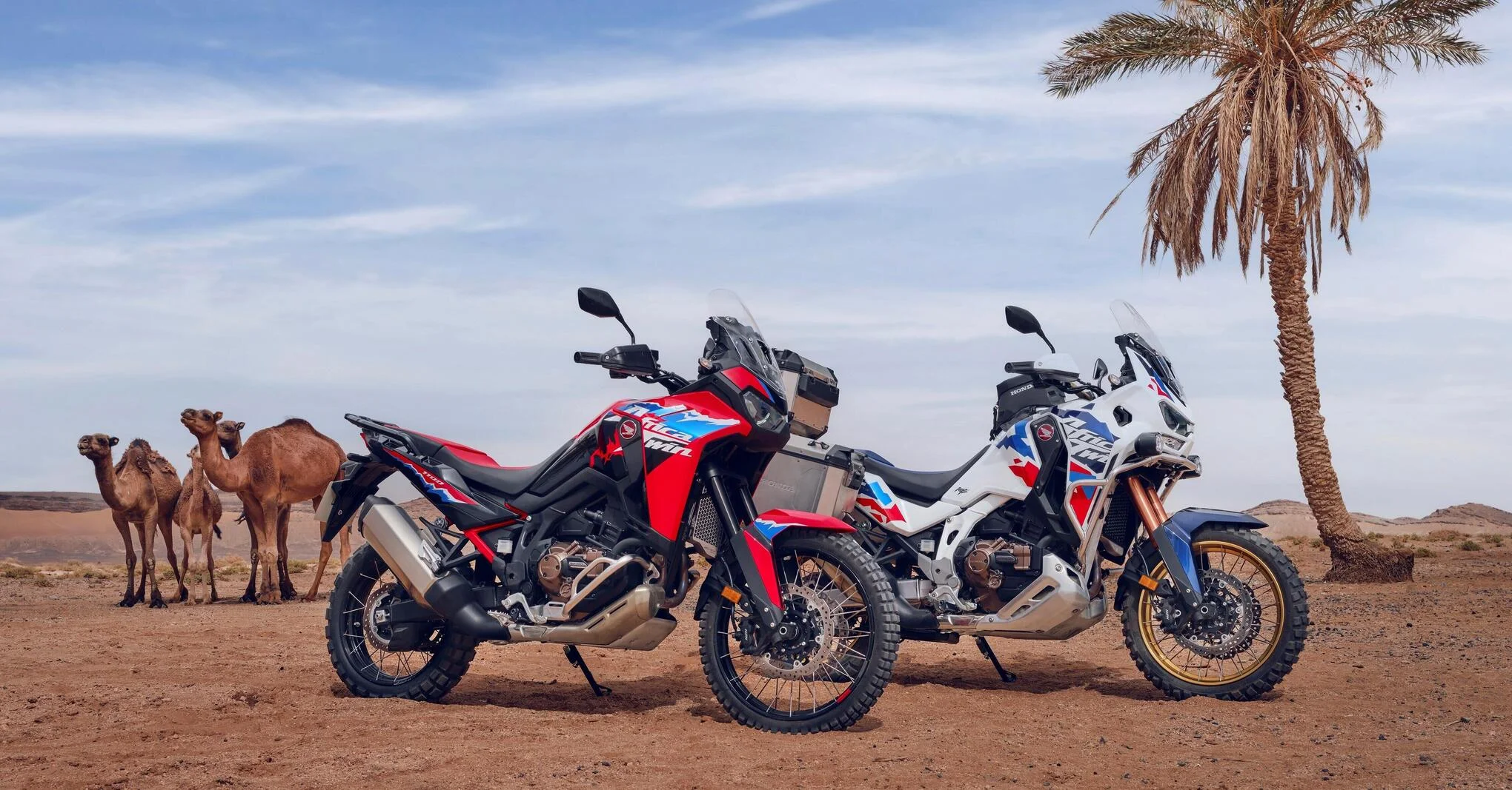 Imagem de destaque da matéria Nova Africa Twin.